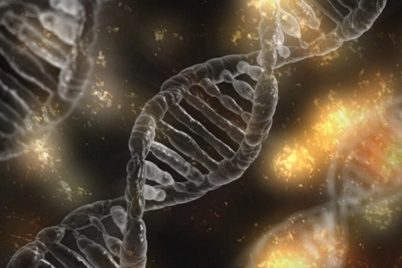 DNA, Heredity, and Drug Resistance
